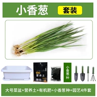 [Маленький лук] Большой белый бассейн+10L Пищевая почва+удобрения+четырехэтапный набор