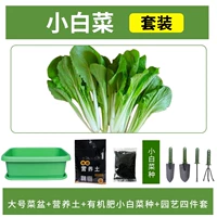[Маленькая капуста] Зеленый бассейн+10L Пищевая почва+удобрения+четырехэтапный набор