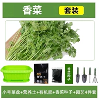 [Кориандр] Небольшой зеленый горшок+10L питательная почва+удобрения+четырехместный набор