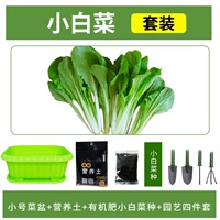 [Маленькая капуста] зеленый горшок+10L Пищевая почва+удобрения+четырехэтапный набор