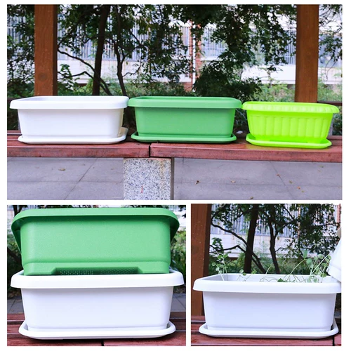 Посадка луковица -специфические овощи, овощные артефакты, семейный балкон здание Топ овощ