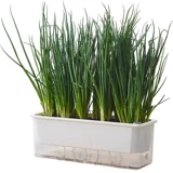 Специальный горшок для выращивания лука, артефакт для выращивания овощей, ящик для ленивой посадки овощей на крыше семейного балкона, самопоглощающийся прямоугольный цветочный горшок