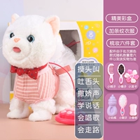 [Слушайте персидскую кошку] + [розовая полосатая одежда] + [Подайте людям цветовую упаковку цветной коробки]