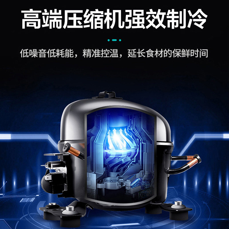 Double-Door Refrigerator Commercial Refrigeration Air-Cooled Frost-Free Dual-Temperature Two-Door Freezer Insert-Type Baking Stainless Steel Two-Door Freezer