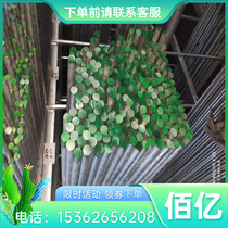 Supply large diameter bar round steel bar stock 301J1 302 302B 303 303SE alloy steel plate round bar