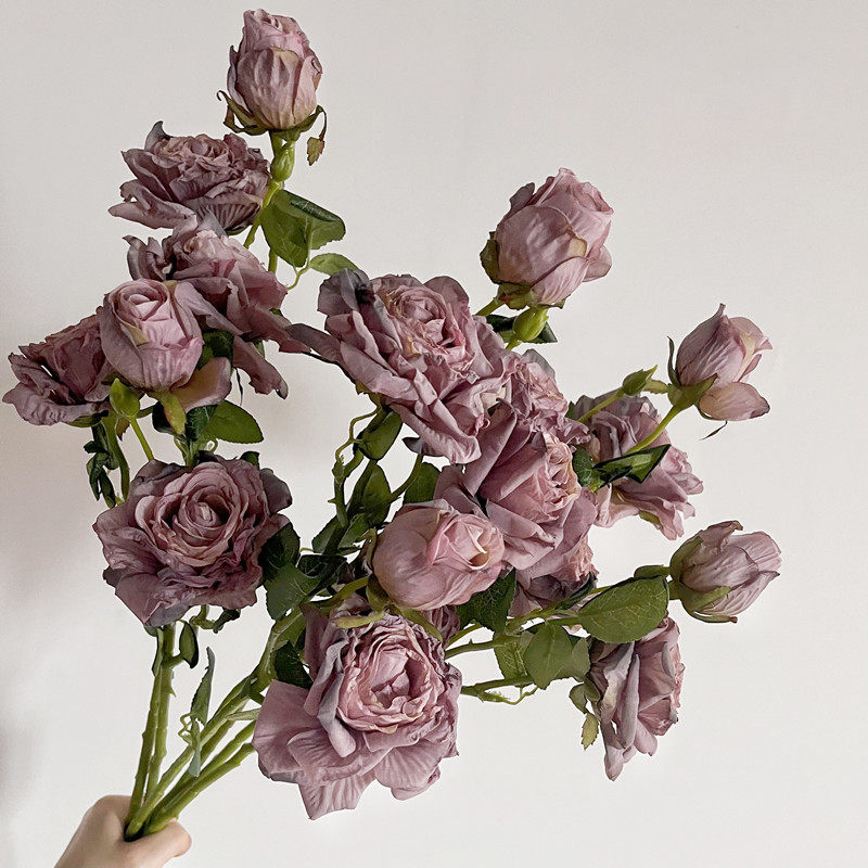 穿越时空的美食之旅：探寻古代中国人的餐桌️