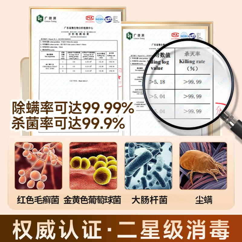 Underwear Sterilizer, Underwear Dryer, Small Household Ultraviolet Sterilization Cabinet, All-In-One Clothes Dryer for Intimate Clothing