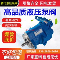 American vikers plunger pump PVB10-RSY-41-CM-12 Vickers hydraulic pump supply