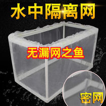 Black shell shrimp breeding box guppy hatching box fish tank isolation box hatching isolation box water isolation net breeding box