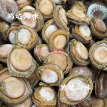 Abalone South Africa Dry Baud Selected HEART SPECIAL CLASS SOUTH AFRICA ABALONE BIG WEB BAUDRY GOODS 500g CISUNG