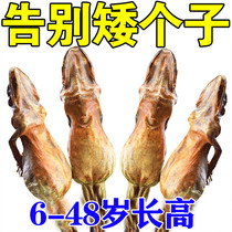 (Easy to grow) Grow taller stickers growth tool for short people new technology to change 5-30 cm non-inner height increasing insoles