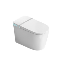 TOTGG Intelligent Toilet Intelligent Lavage Limite Femmes Fonction de Lavage pour les toilettes chaudes des ménages