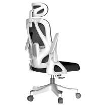 Dongwo Aixing computer chair home ergonomic chair sedentary desk study back chair office chair dormitory chair