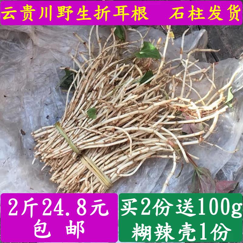 Chongqing Shizhu specialty fresh vegetables wild Houttuynia fold ear root tender root now dig side ear fold two roots Jiuan Jiuan root