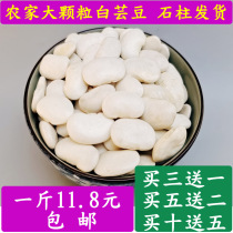 Chongqing stone pillar specialty big white kidney bean big white bean white bean Baiyun bean farmers own grain lentil grain snow bean 500g