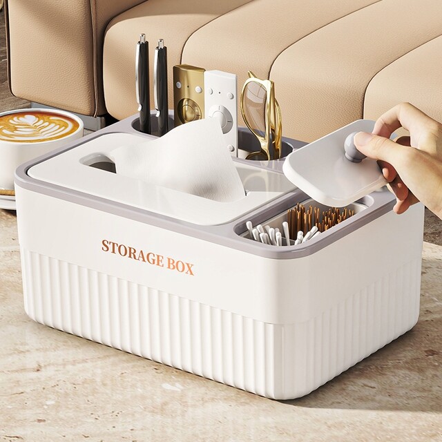 Japanese Imported Desktop Tissue Box for Home Use in the Living Room, High-End Creative Tissue Box, Remote Control Storage Box