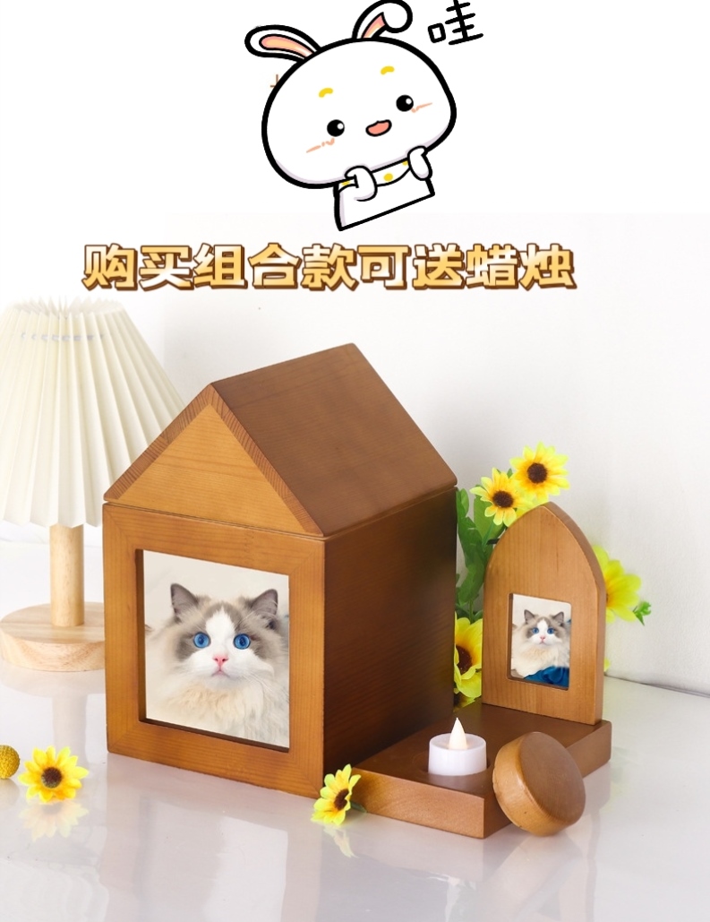 O1CN01Mua9yx1jz5st3ex01_!!2215545014618.jpg