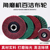 Stainless steel polishing pads with scouring pads for polishing machines