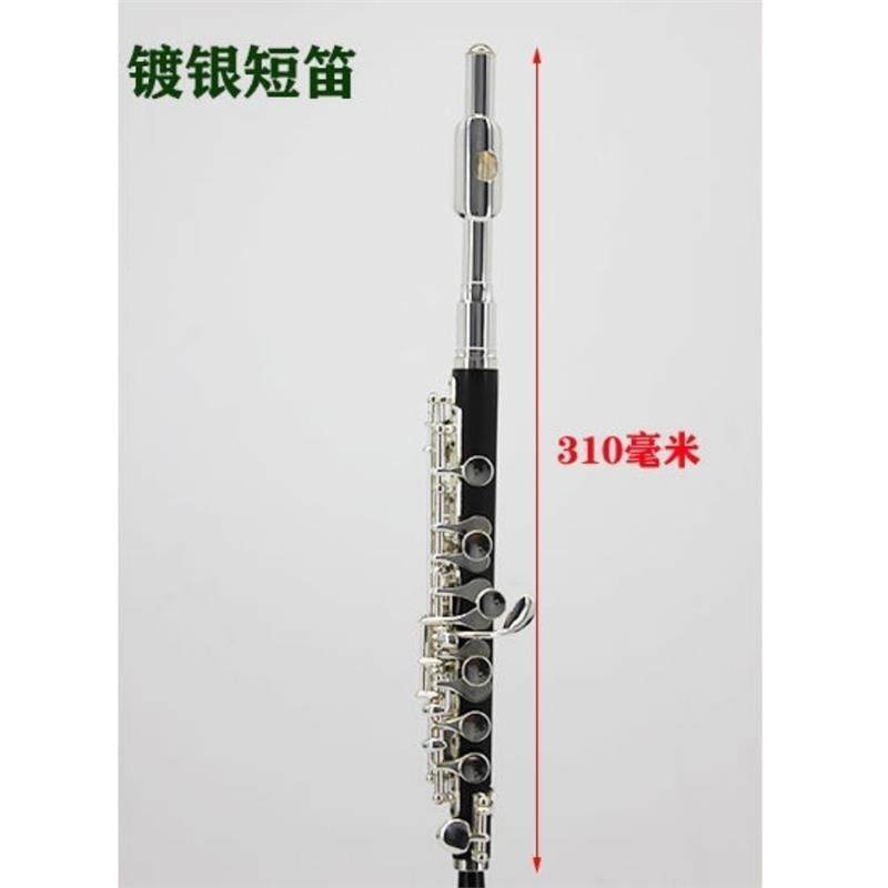 正品金音镀银E110短笛JYPC-E100乌木短笛A600长笛C掉白铜演奏专用：音乐家的终极选择？-短笛-淘宝百科网
