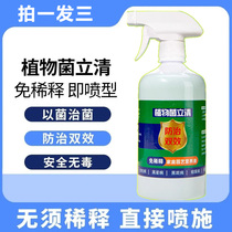 Flower and grass plant bacteria LiQingqing universal free of dilution Home gardening Nutrient Bacteria Microbial Inoculum Flower Fertilizer Bo