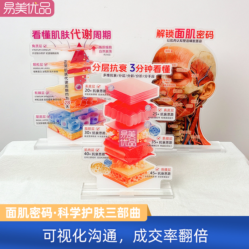 Age-Specific Anti-Aging Display Items for Medical Beauty Salons, Acrylic Display Stands, Customer Education, Anti-Aging Facial Muscle Code Skincare