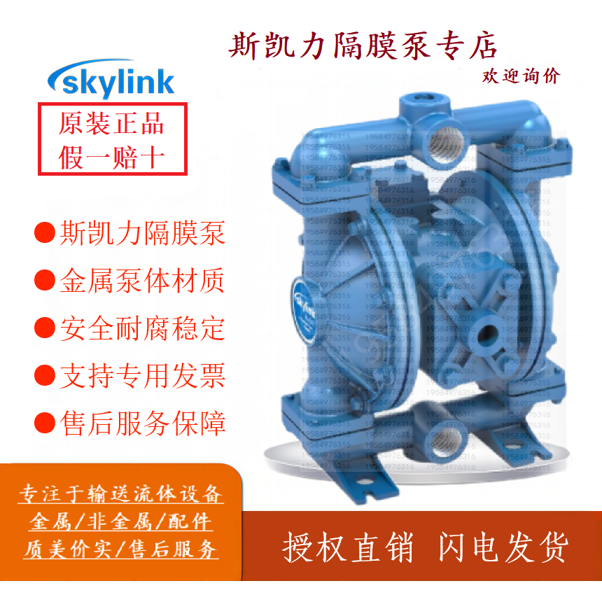 Original Genuine Skylink Pneumatic Diaphragm Pump 1inch Pump Ls25K, Aa-Aa-Sp-Sp-Sp-00