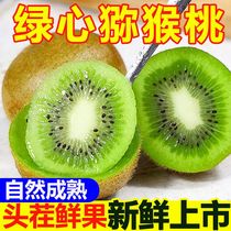 (Sweet enough to cry) Shaanxi Xuxiang kiwi fruit seasonal fresh fruit kiwi fruit for pregnant women in multiple specifications and full box