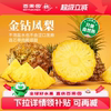 【连芯带肉都是甜】海南金钻凤梨手撕菠萝