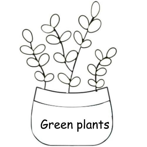 In Green 格林绿植