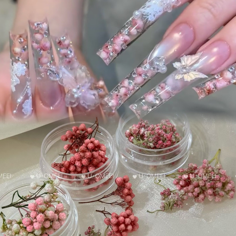 Trendy Popular Items: Xiaomi Li Dry Flower Decoration Material Kit, Small Rose Flower Art, Nail Art Dry Flower Materials, Nail Decorations