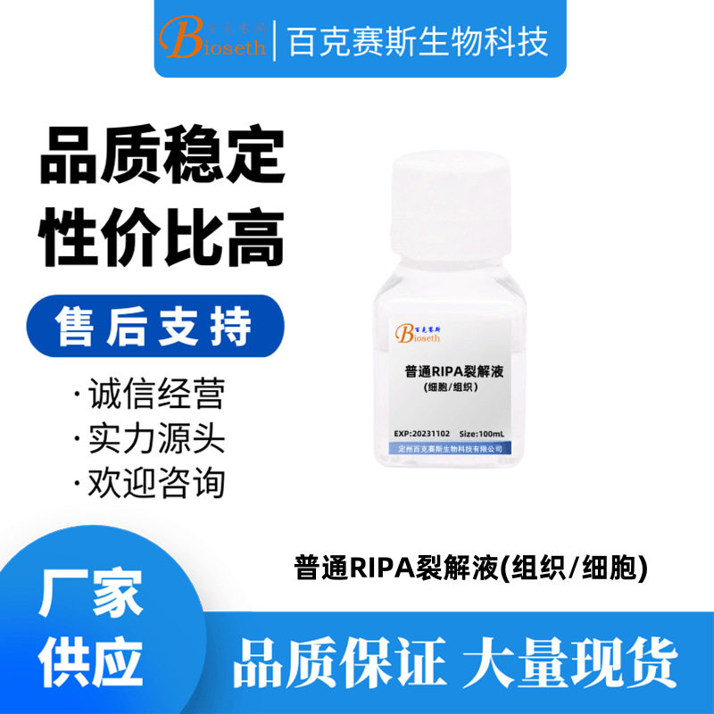 普通RIPA裂解液(组织/细胞) 实验室科研用试剂 百克赛斯生物