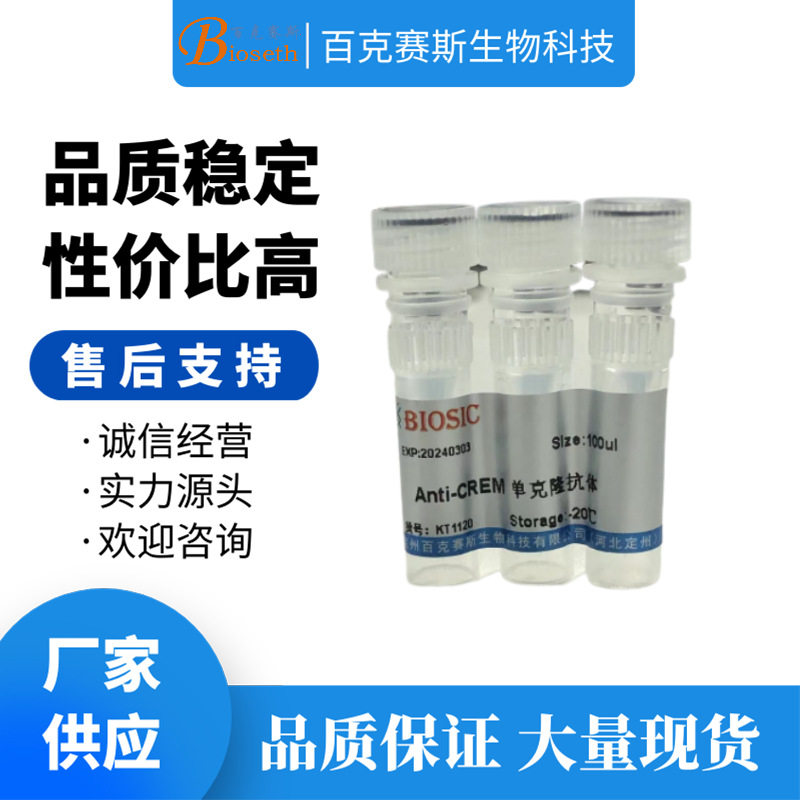 Anti-CREM Monoclonal antibody 实验用单克隆抗体 百克赛斯生物