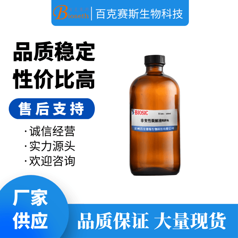 非变性裂解液RIPA 实验室科研用试剂 百克赛斯生物