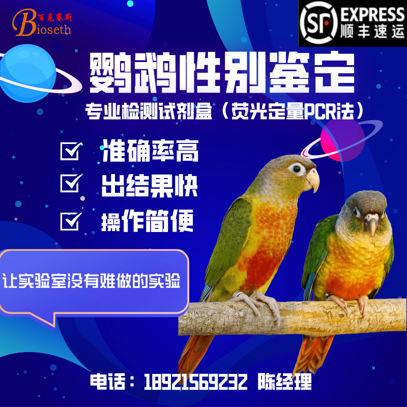 鹦鹉性别检测鉴定试剂盒 雌雄公母检测PCR科研试剂 接代检测服务