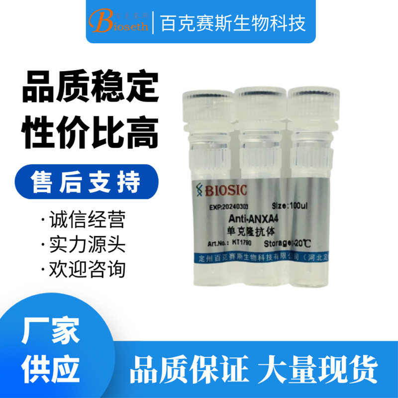 Anti-ANXA4 Monoclonal antibody 实验用单克隆抗体 百克赛斯生物