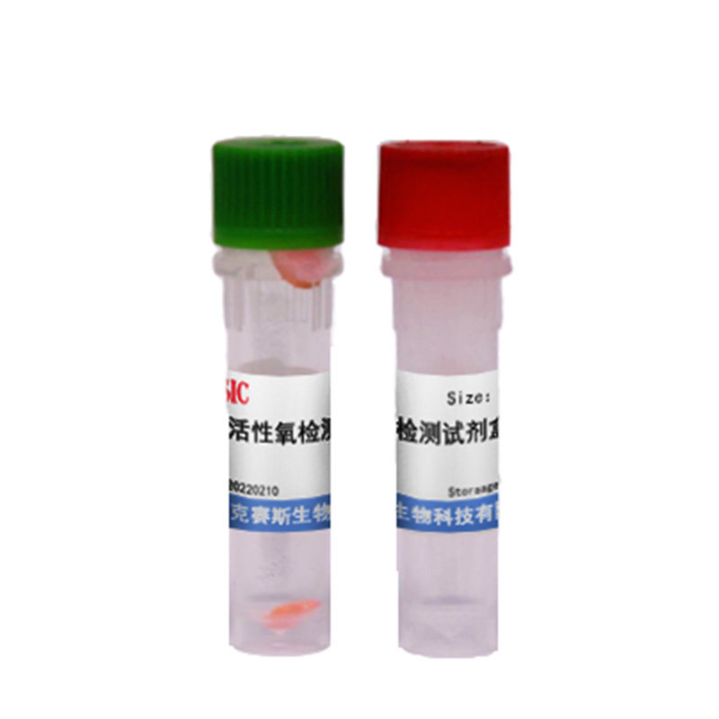 活性氧检测试剂盒 Ros检测 绿色荧光 实验科研试剂盒百克赛斯生物