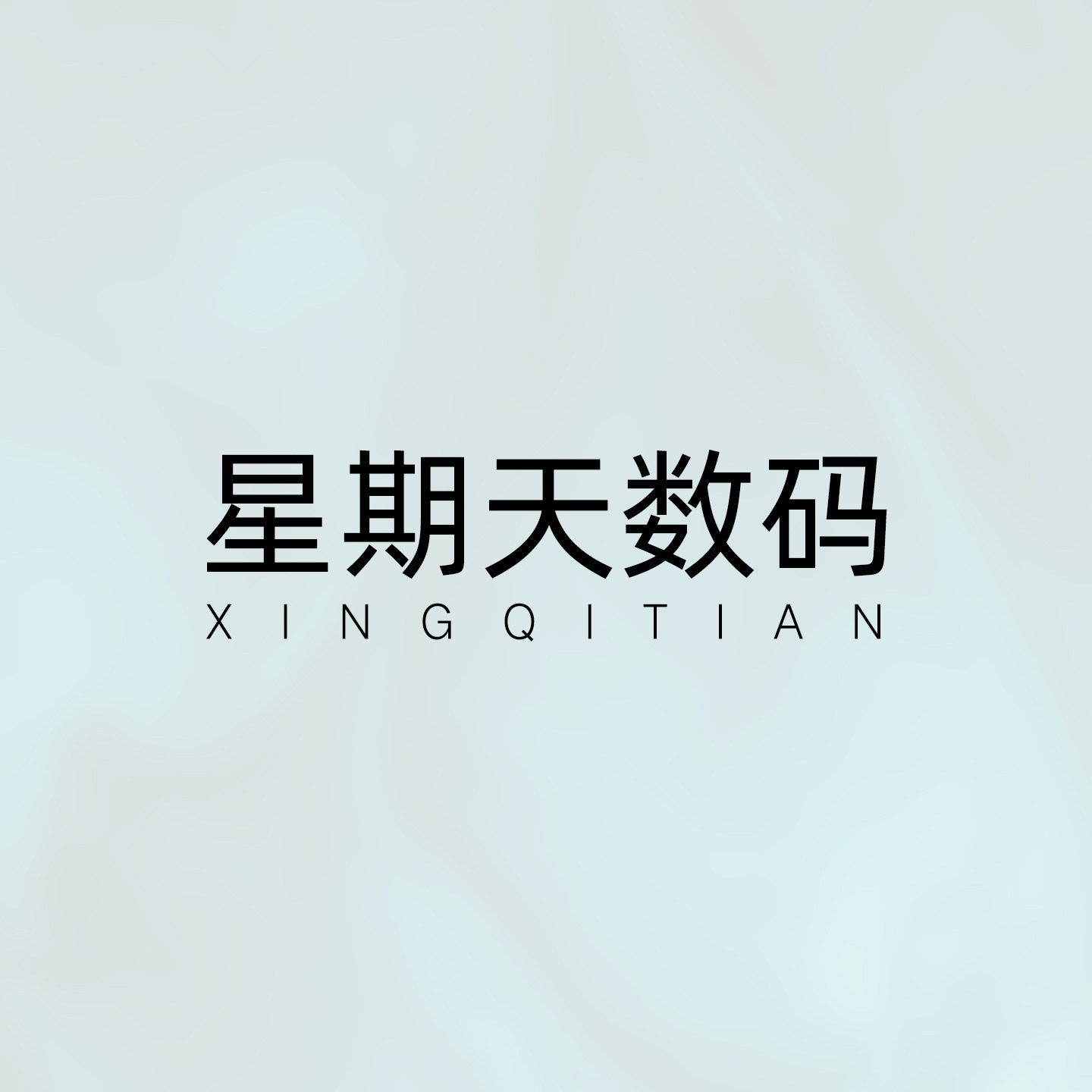 星期天数码店