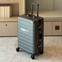 Темно-серый [двойное закрытое отделение для влажной и сухой уборки + тормозное колесо с амортизатором + таможенный замок TSA]