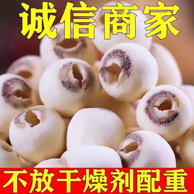 松子干货小店的LOGO