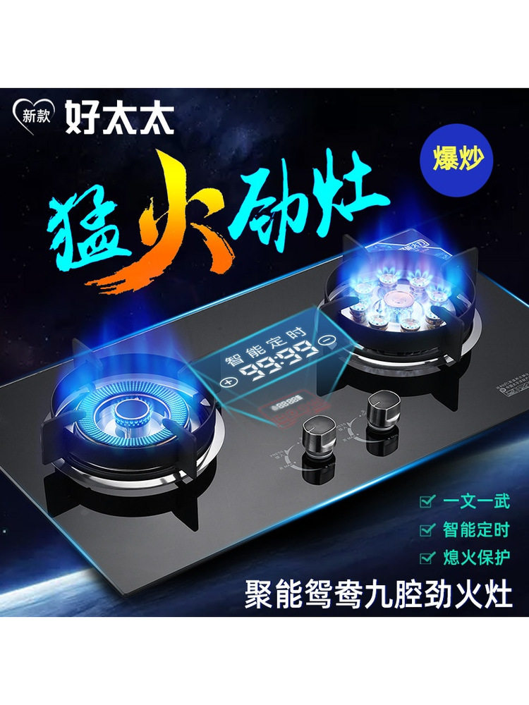 Haotaitai Gas Stove for Home Use, Dual-Burner, Natural Gas, Embedded, Energy-Saving Gas Stove, Liquefied Gas, Tabletop Gas Stove