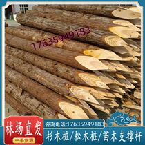 Flood control project piling wood outdoor river revetment construction site quagmire piling fir log tree trunk piling pier