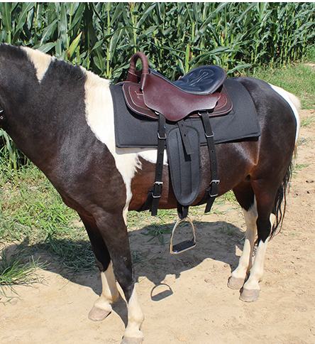 New cow leather horse saddle with a full set of big horse visitors saddle pony horse equestrian items-Taobao
