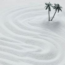 1 pound dry landscape white fine sand quartz sand particles decorative sand smoke-killing quartz sand experimental landscaping fine sand