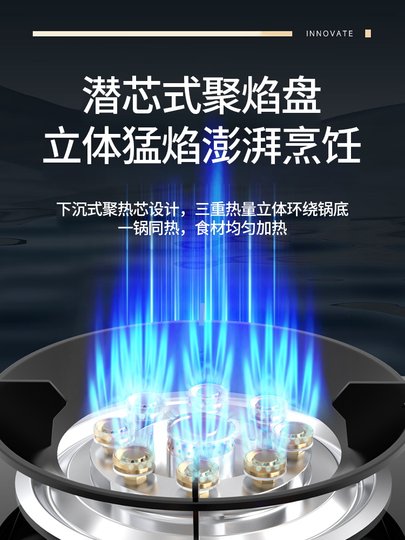 Rongshida Gas Stove Single Burner for Home Use, Liquefied Gas High-Power Stove, Embedded Dual-Use Natural Gas Gas Stove, Single Burner