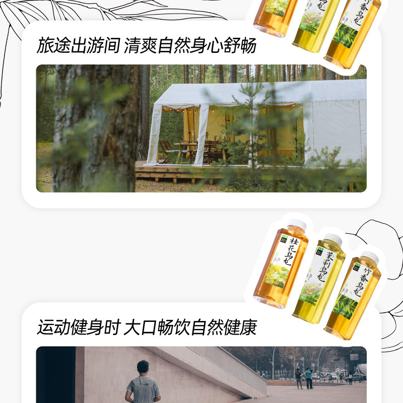 安享好物 安享S级茶饮料-让茶竹香乌龙 国标
