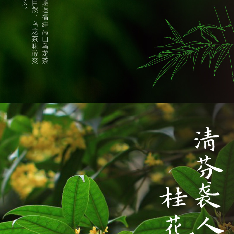 安享好物 安享S级茶饮料-让茶竹香乌龙 国标
