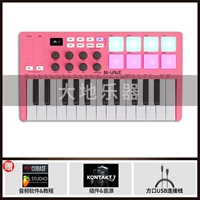 SMK25-PINK + PEDAL/PACK + PACK + Вспомогательное программное обеспечение + Учебное пособие
