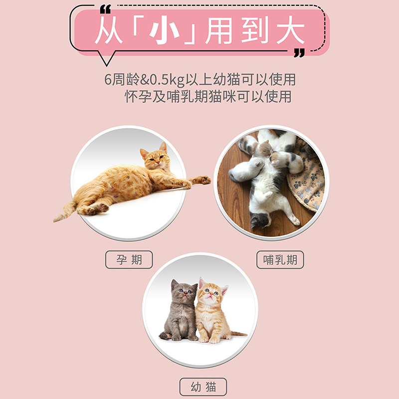 猫咪驱虫新选择：海乐妙——体内体外全面防护