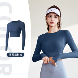 New arrival Spring and Autumn Sportswear Beautiful Back Mesh Yoga Clothing Long sleeves Elastic Round Neck Tight Running T-shirt for Tops Women