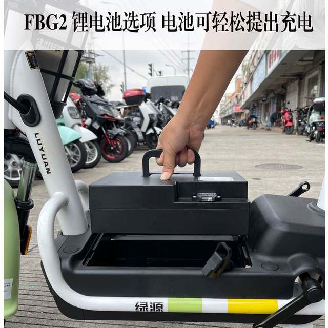 ຍານພາຫະນະໄຟຟ້າ Luyuan FBG / FBG248v ຫມໍ້ໄຟ lithium ນໍາ - ອາຊິດລິທຽມລົດຖີບໄຟຟ້າມາດຕະຖານແຫ່ງຊາດໃຫມ່ສາມາດລົງທະບຽນໄດ້ທົ່ວປະເທດ